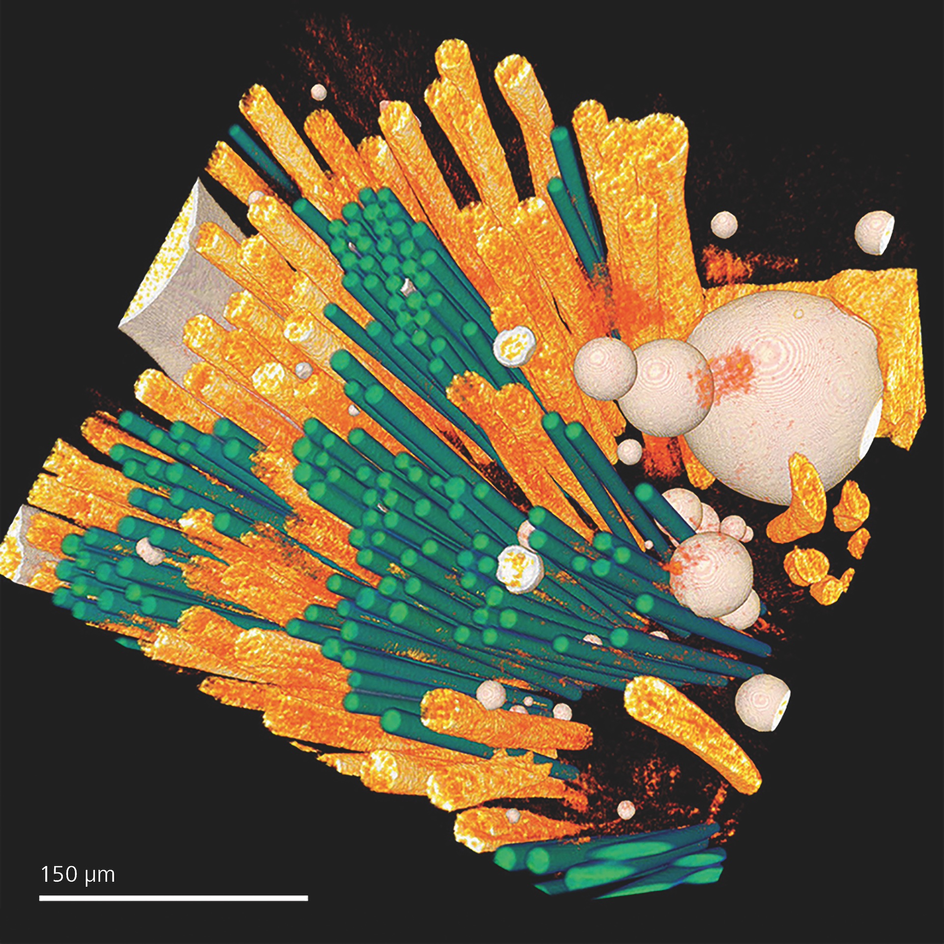 Fiber composite material analysis