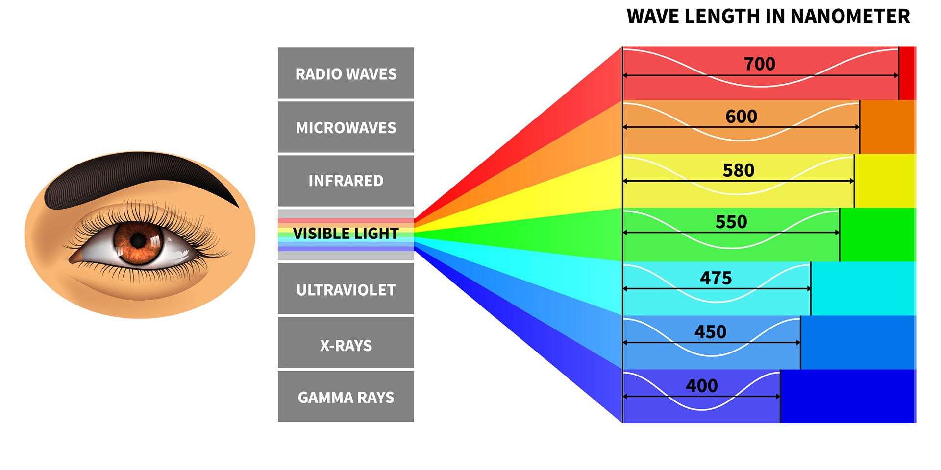 Spectre de la lumière visible et longueur d’ondes des couleurs perçues par l'œil humain.