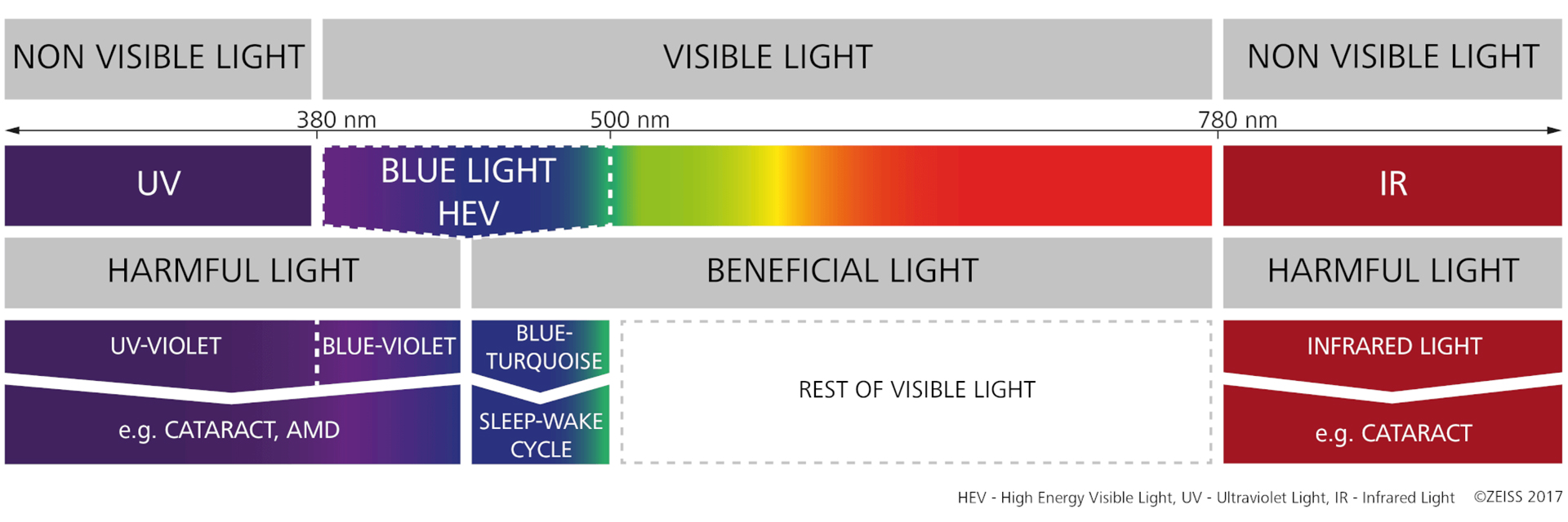 En quoi consiste exactement la lumière UV ?