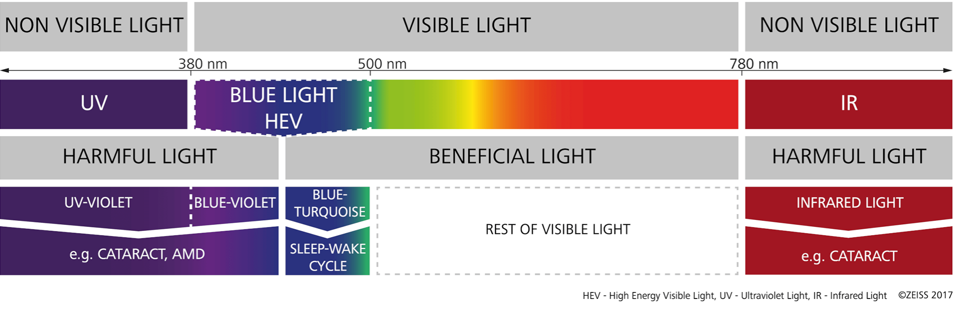 Het zichtbare spectrum