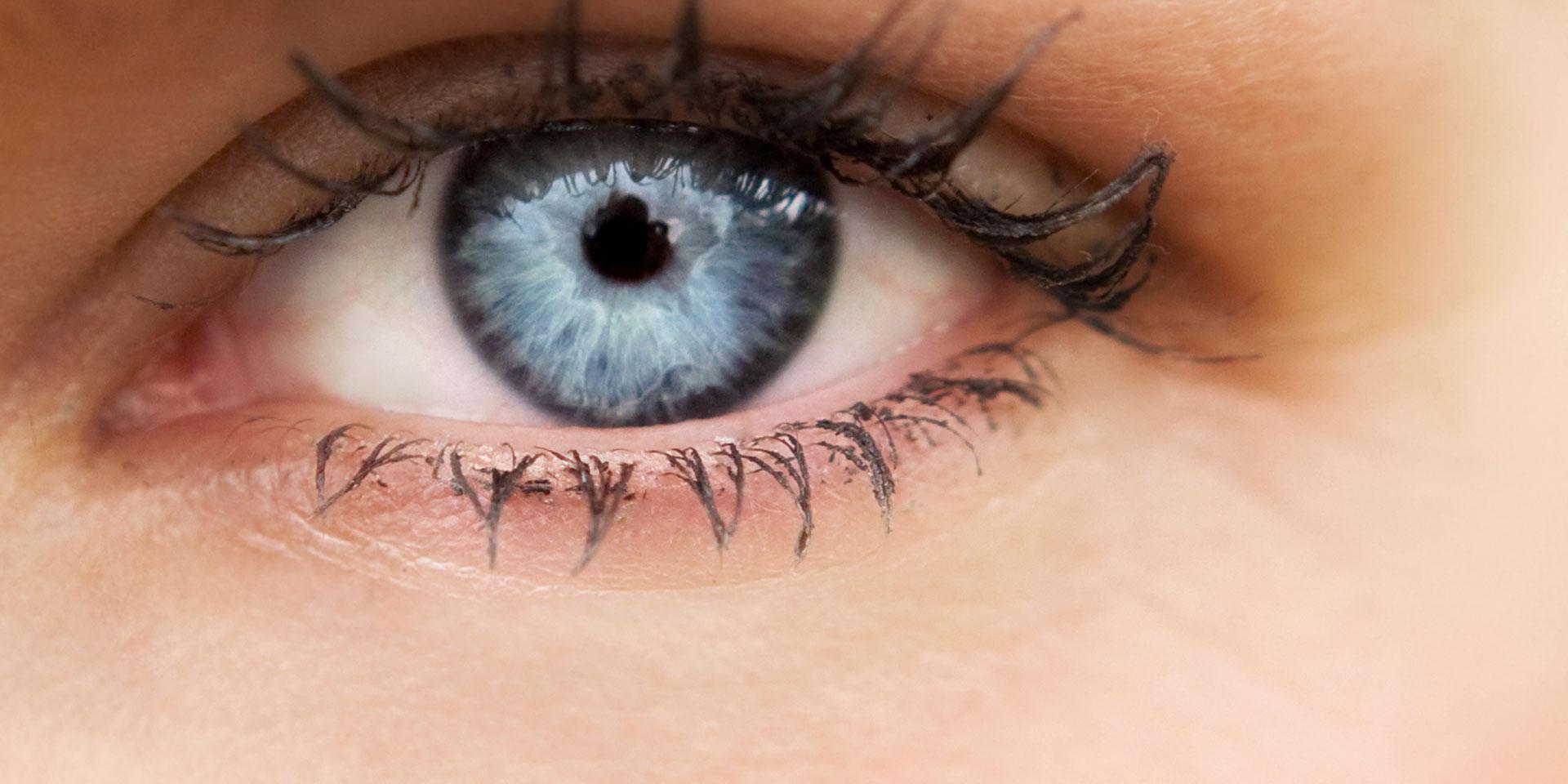 Zicht inzichtelijk gemaakt: ZEISS gaat op zoek naar de fundamentele processen van het gezichtsvermogen